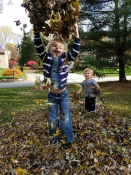 Ryder jumping in leaves